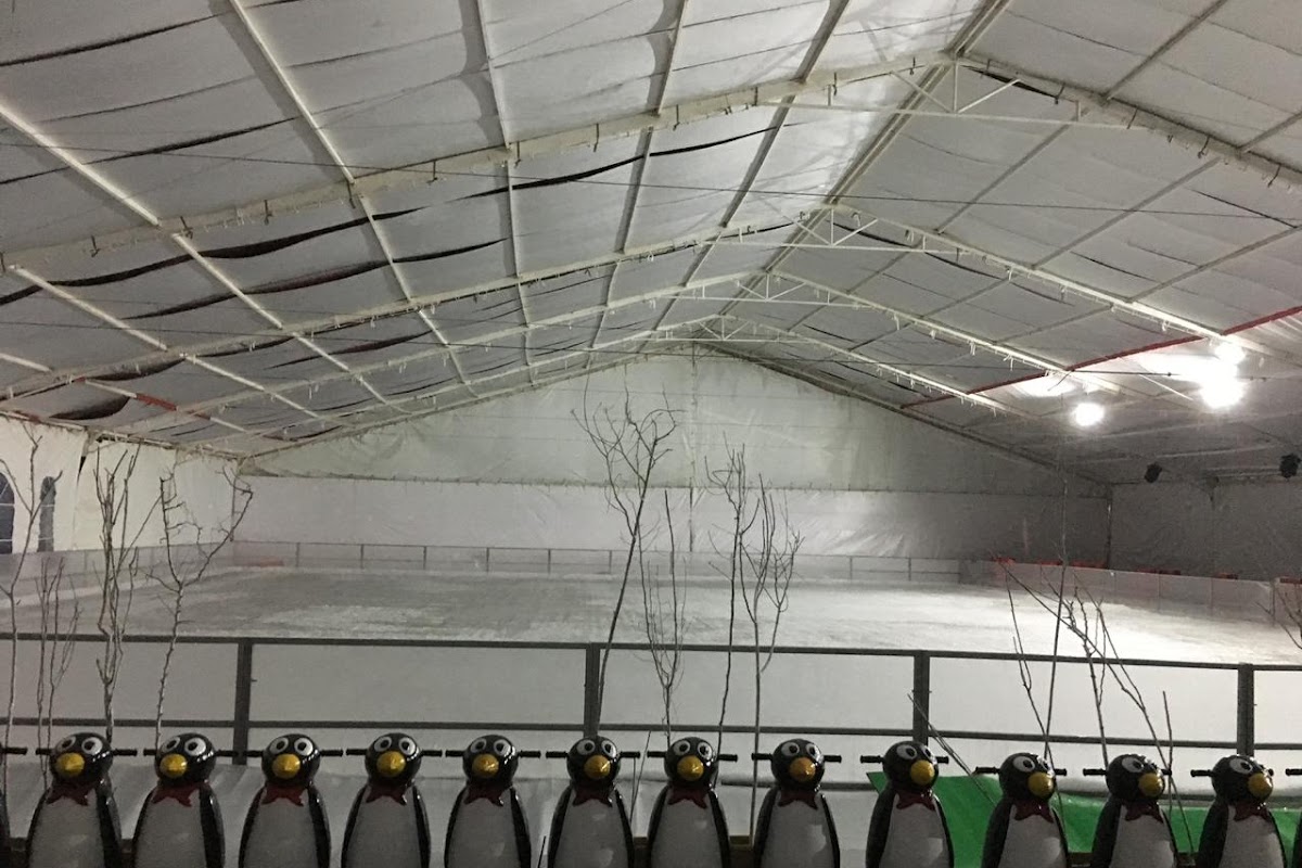 Fila de pingüinos de apoyo junto a la pista de hielo